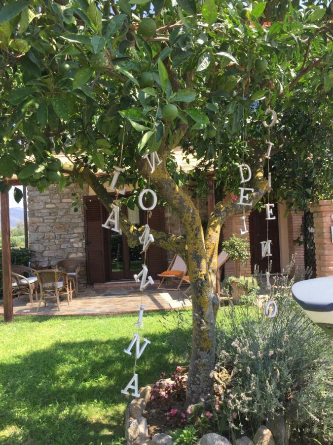B&B La Nonnina Del Cilento Casal Velino Bagian luar foto