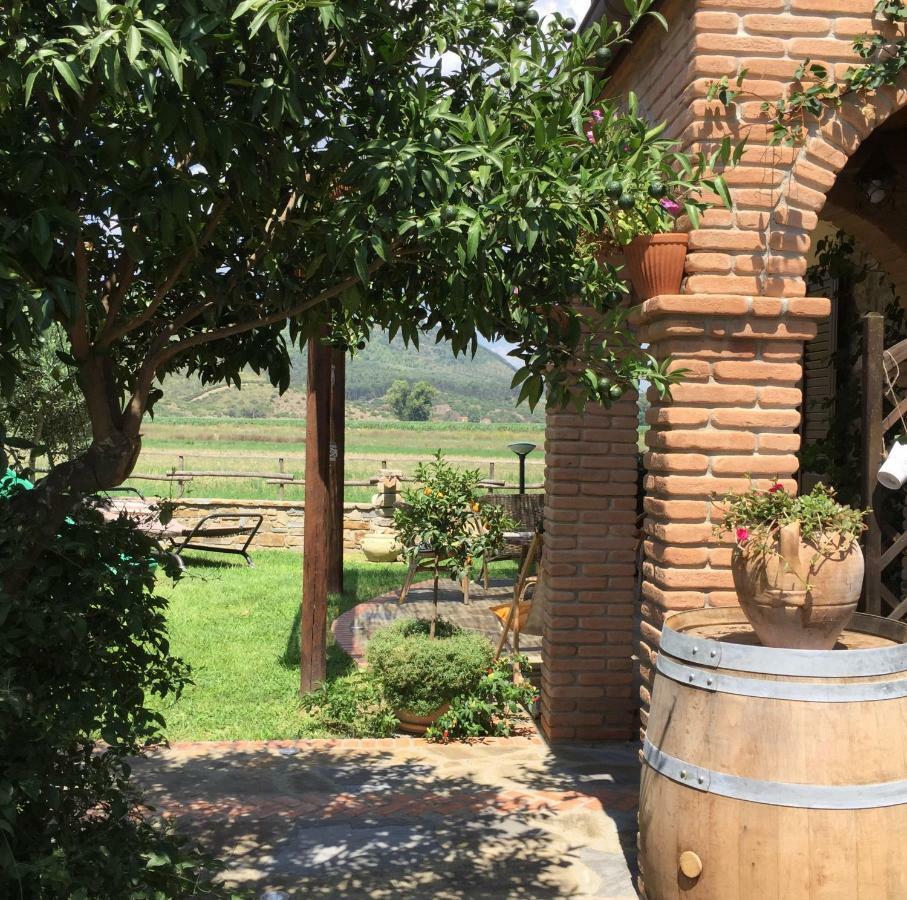 B&B La Nonnina Del Cilento Casal Velino Bagian luar foto
